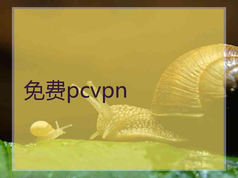 免费pcvpn