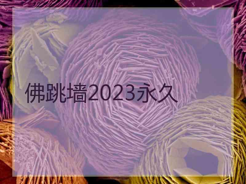 佛跳墙2023永久