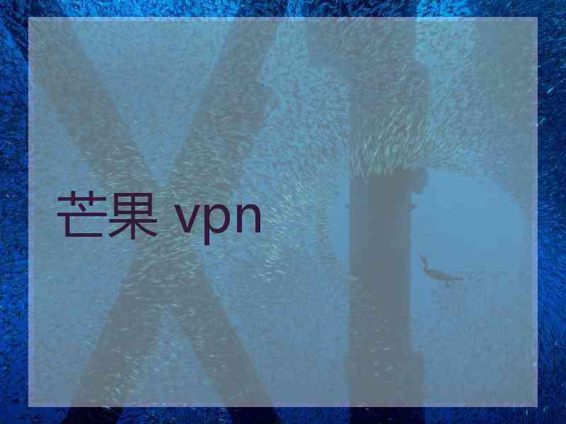 芒果 vpn