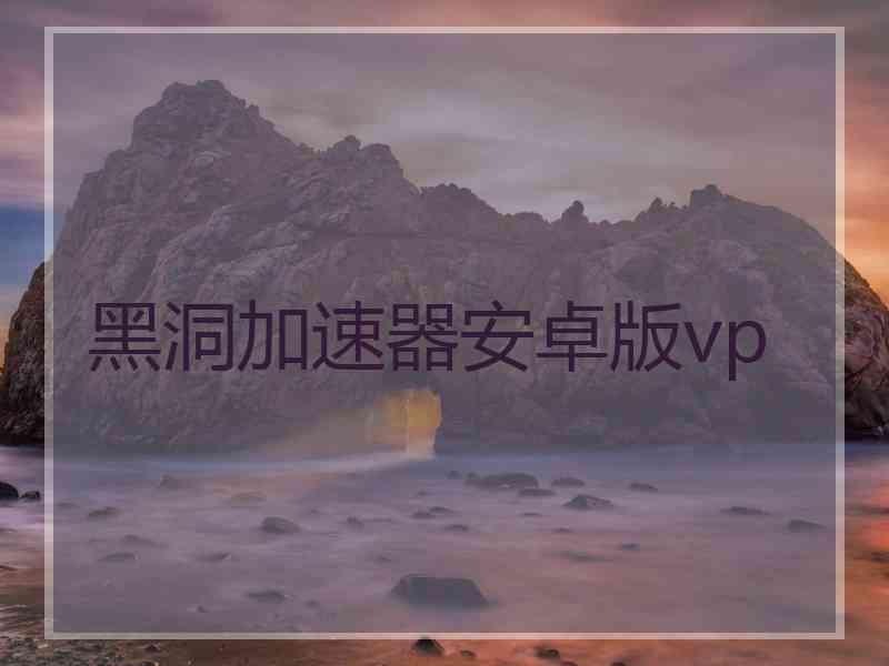 黑洞加速器安卓版vp