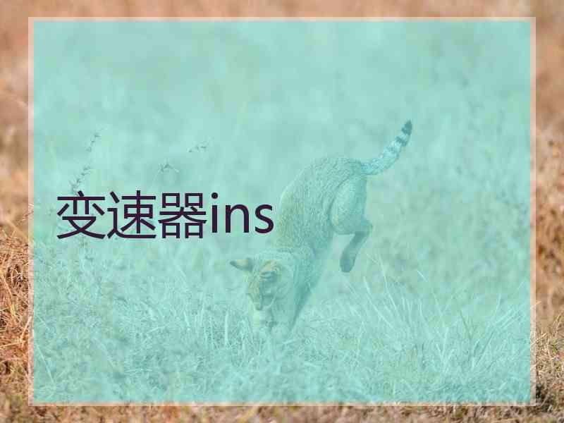 变速器ins