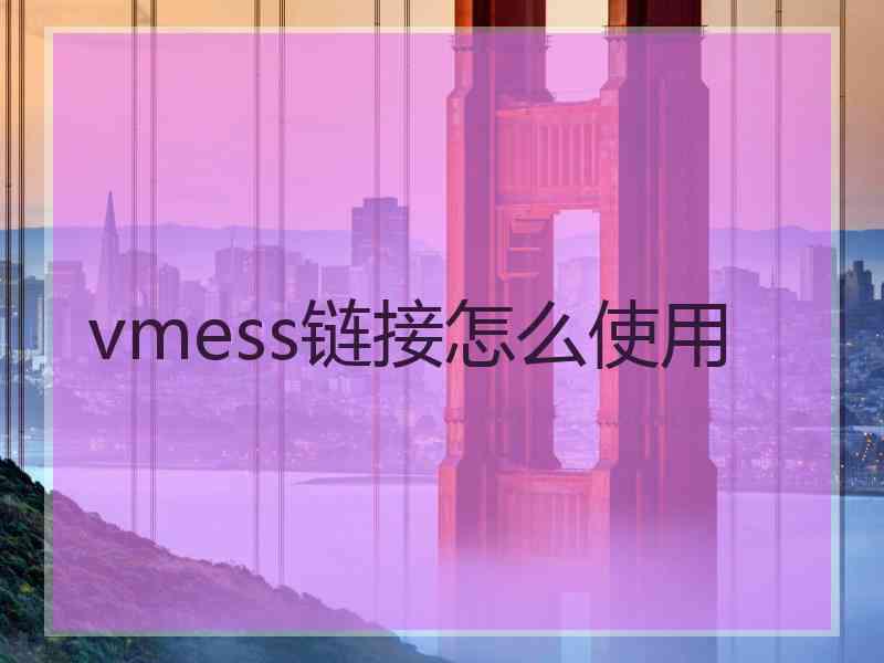 vmess链接怎么使用