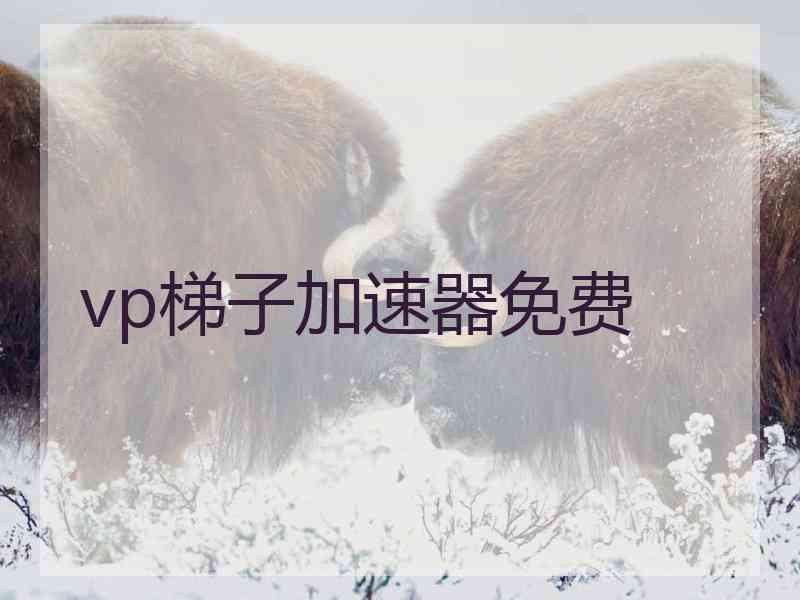 vp梯子加速器免费