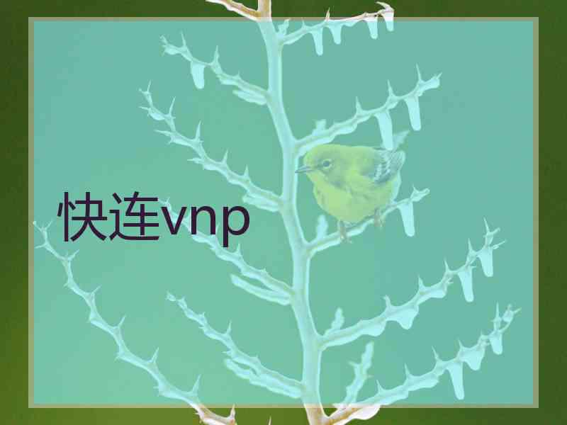 快连vnp