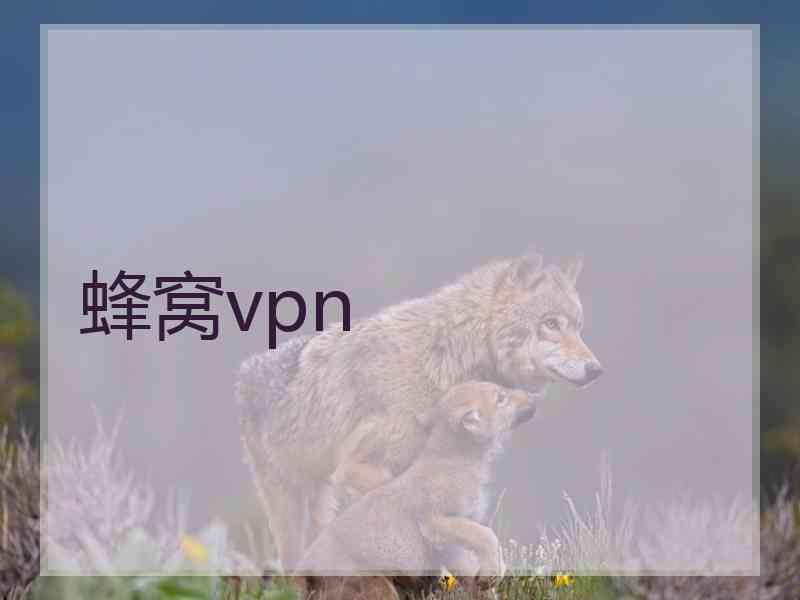 蜂窝vpn