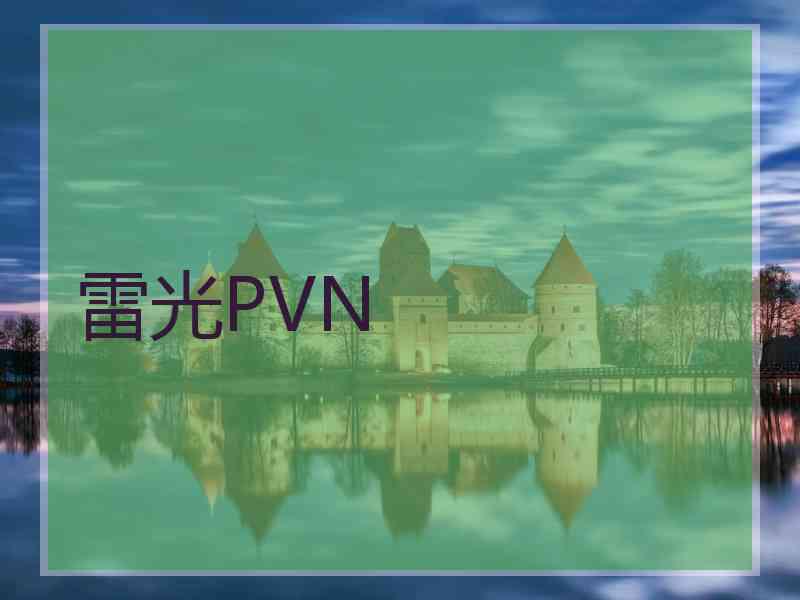 雷光PVN