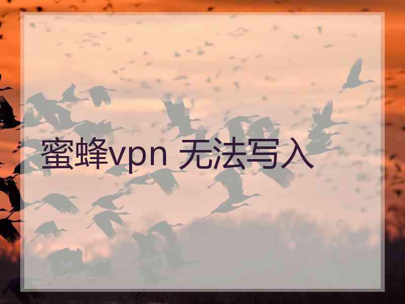 蜜蜂vpn 无法写入