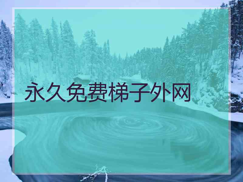 永久免费梯子外网