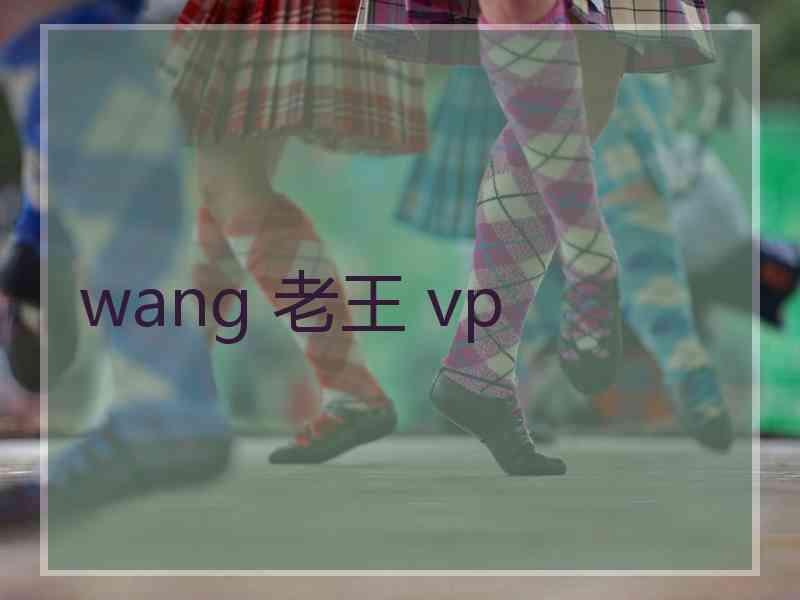 wang 老王 vp