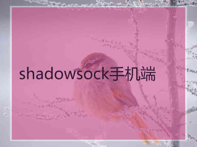 shadowsock手机端