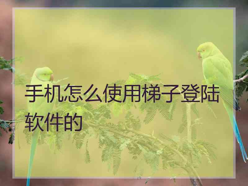 手机怎么使用梯子登陆软件的