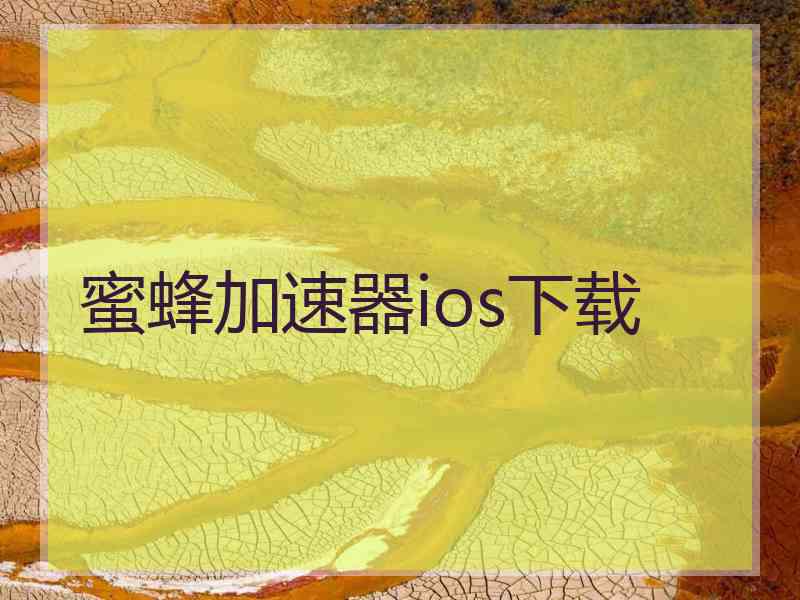 蜜蜂加速器ios下载