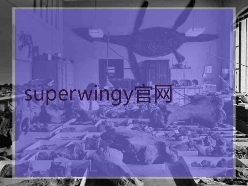 superwingy官网