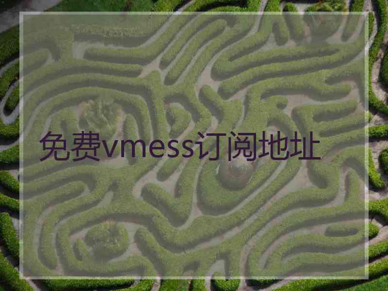 免费vmess订阅地址