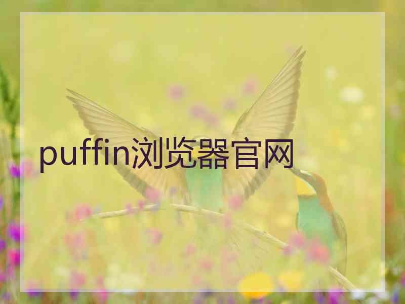 puffin浏览器官网