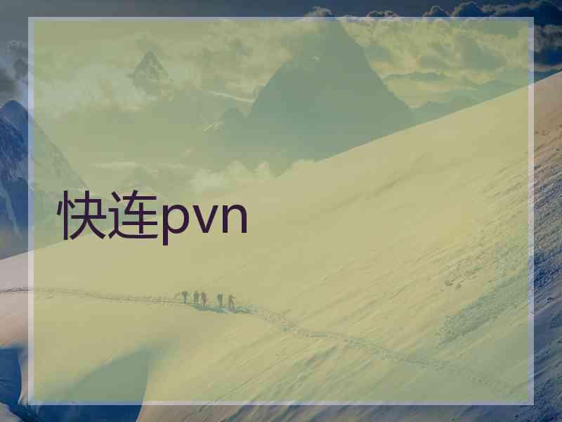 快连pvn