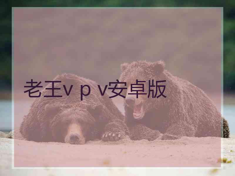 老王v p v安卓版