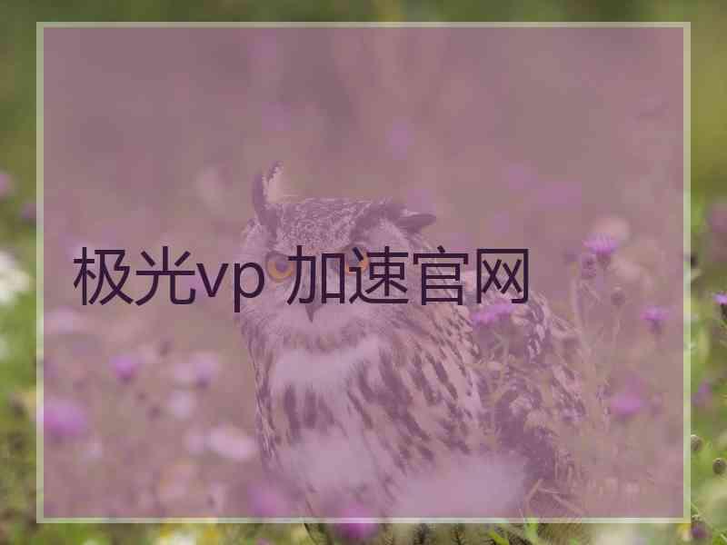 极光vp 加速官网