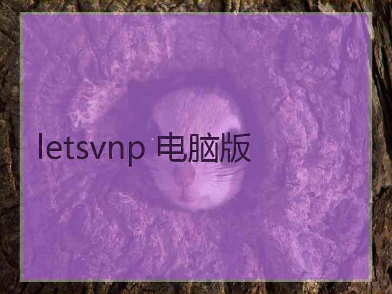 letsvnp 电脑版