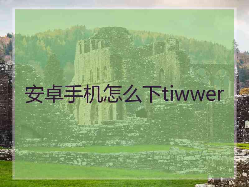 安卓手机怎么下tiwwer