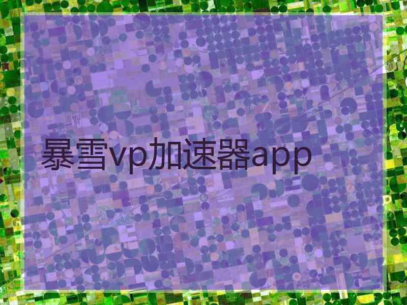 暴雪vp加速器app