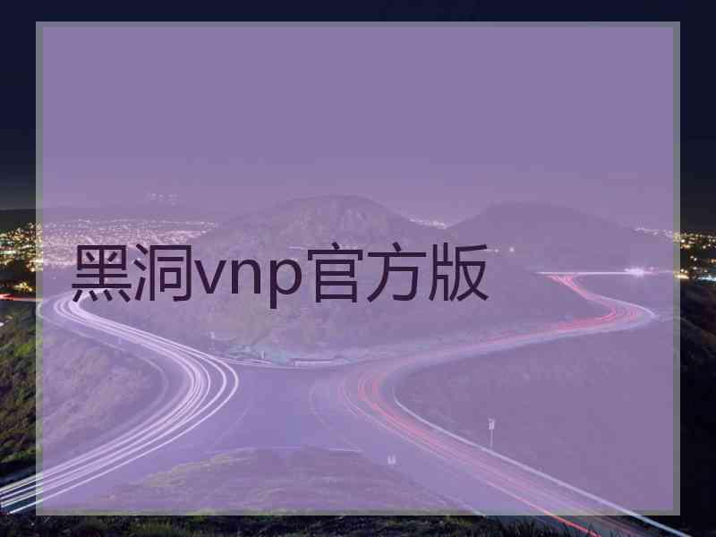 黑洞vnp官方版