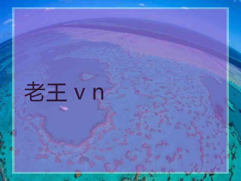 老王 v n