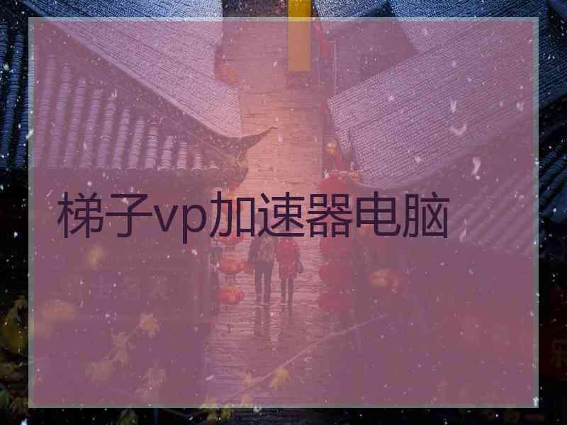 梯子vp加速器电脑