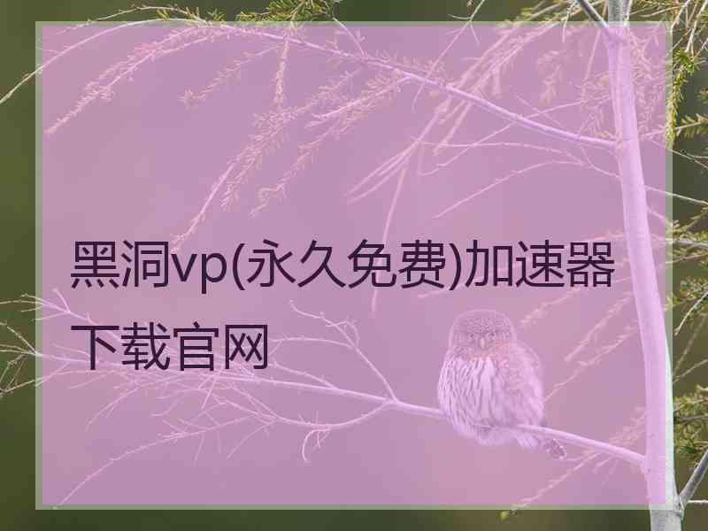 黑洞vp(永久免费)加速器下载官网