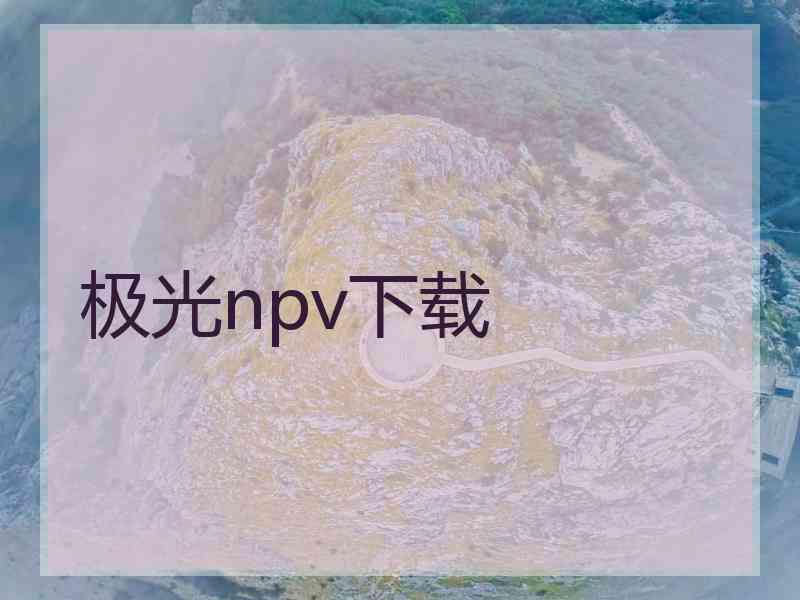 极光npv下载