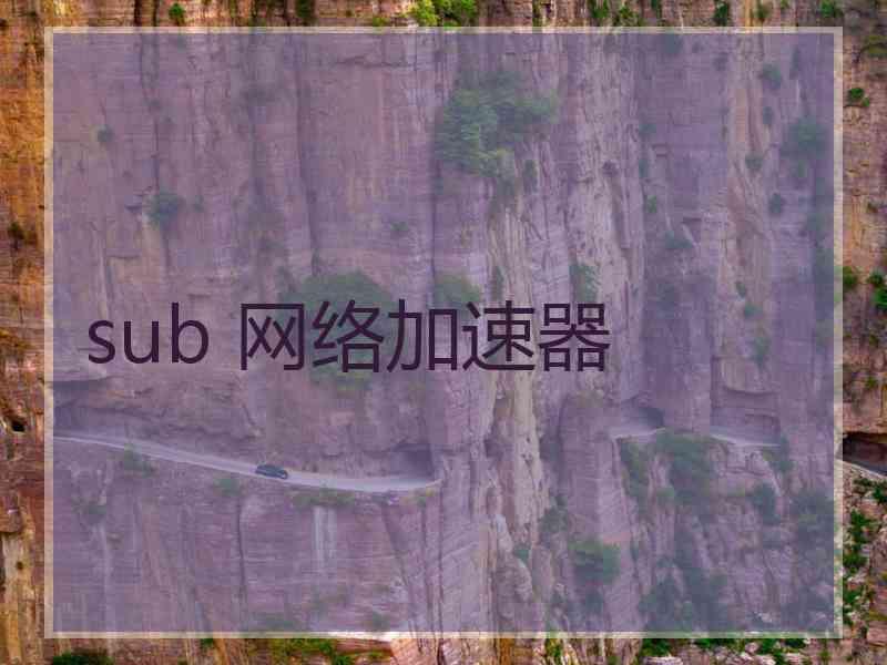 sub 网络加速器