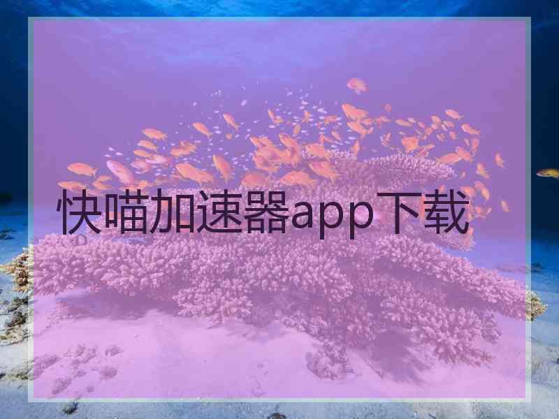 快喵加速器app下载