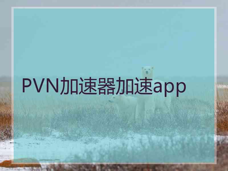 PVN加速器加速app