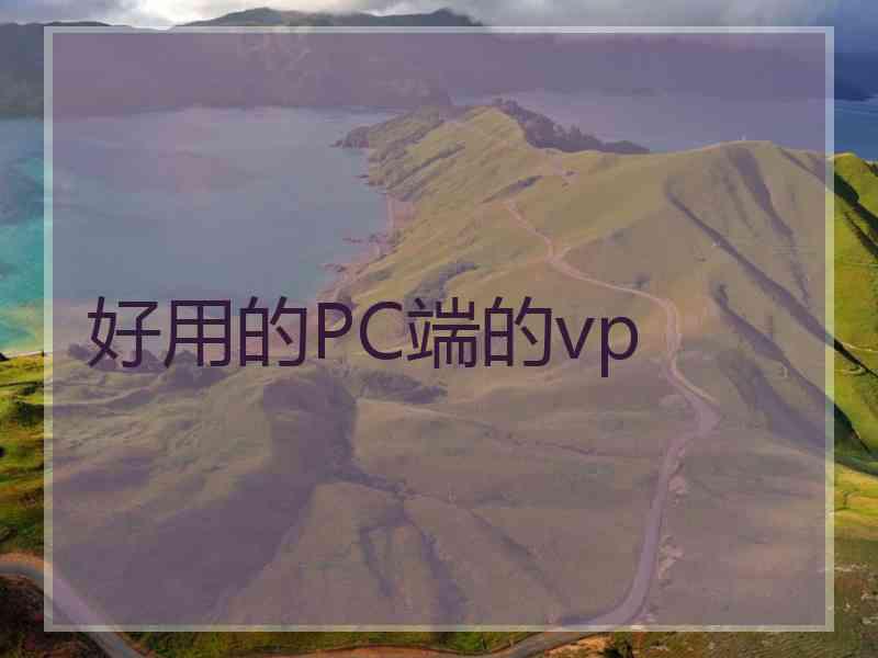 好用的PC端的vp