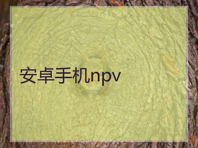 安卓手机npv