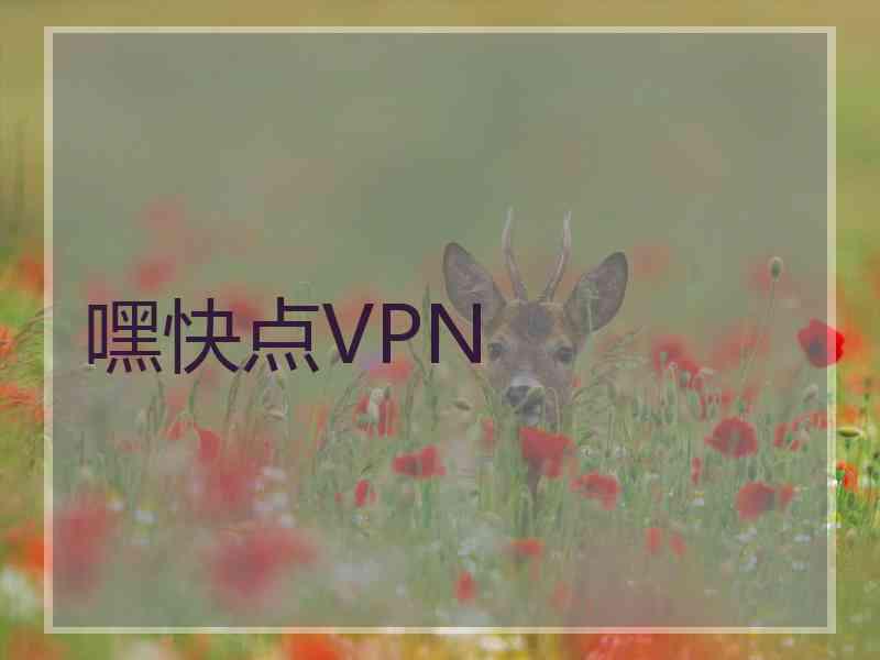 嘿快点VPN