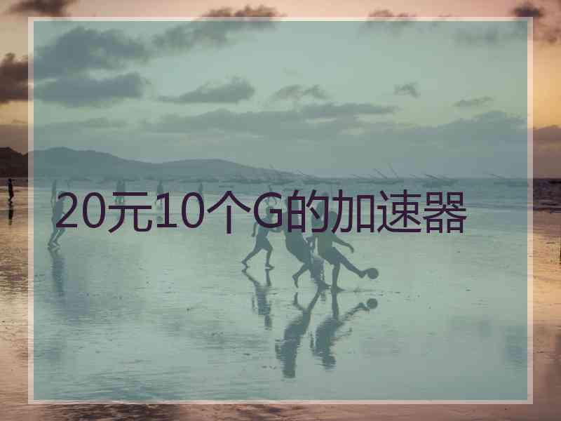 20元10个G的加速器