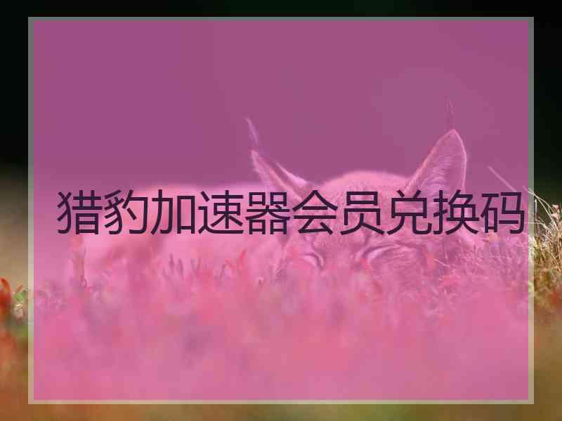 猎豹加速器会员兑换码