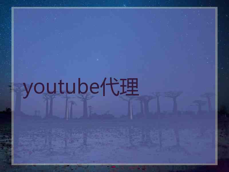 youtube代理