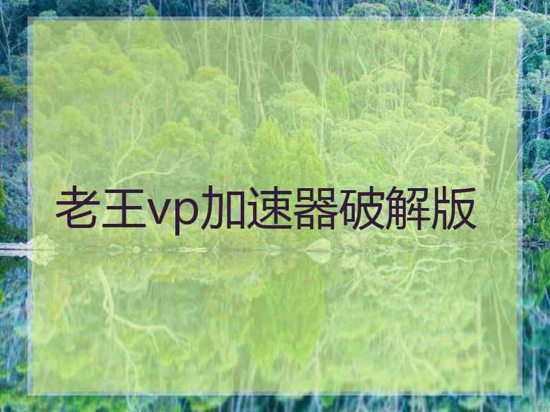 老王vp加速器破解版